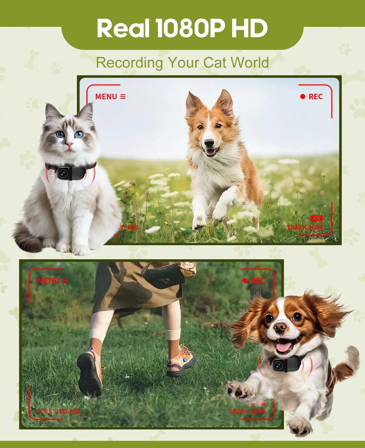 Pet Adventure Camera Collar