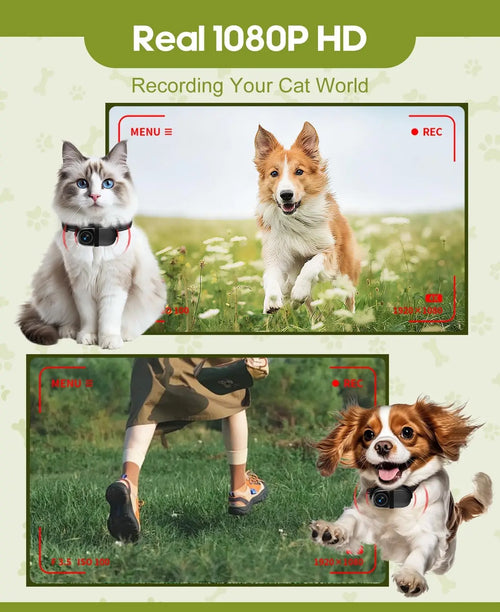 Pet Adventure Camera Collar