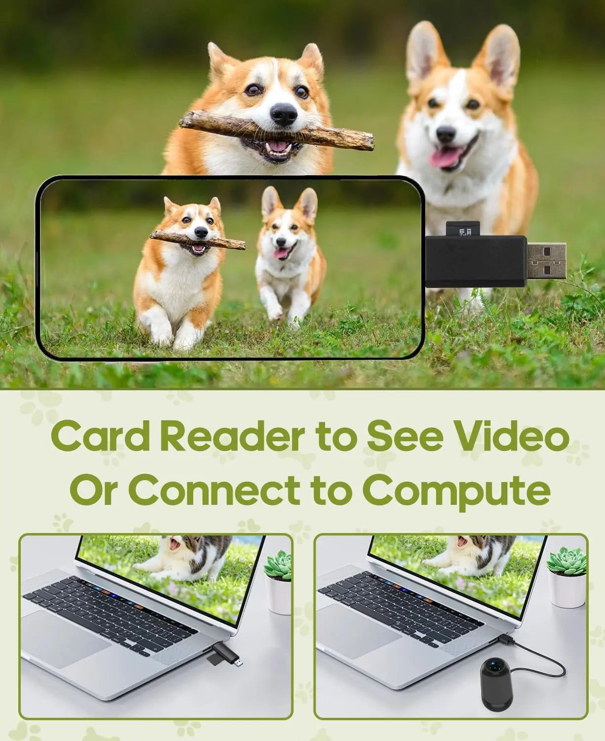 Pet Adventure Camera Collar